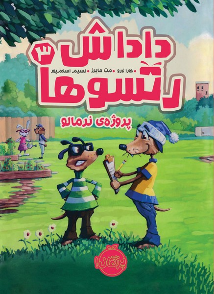 تصویر  کتاب داداش رتسوها 3 نشر پروژه نرمالو