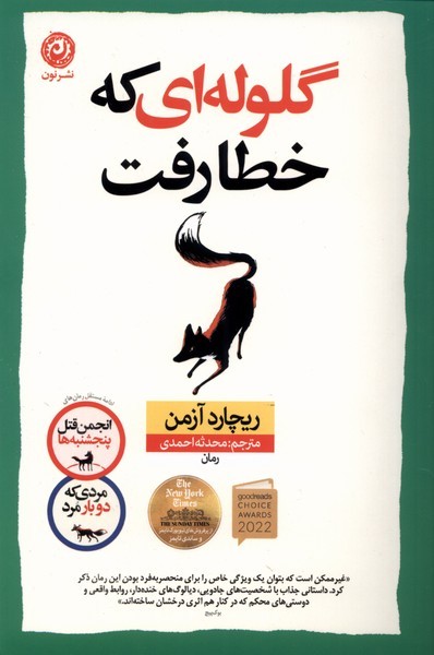 تصویر  کتاب گلوله‌ای که خطا رفت نشر نون
